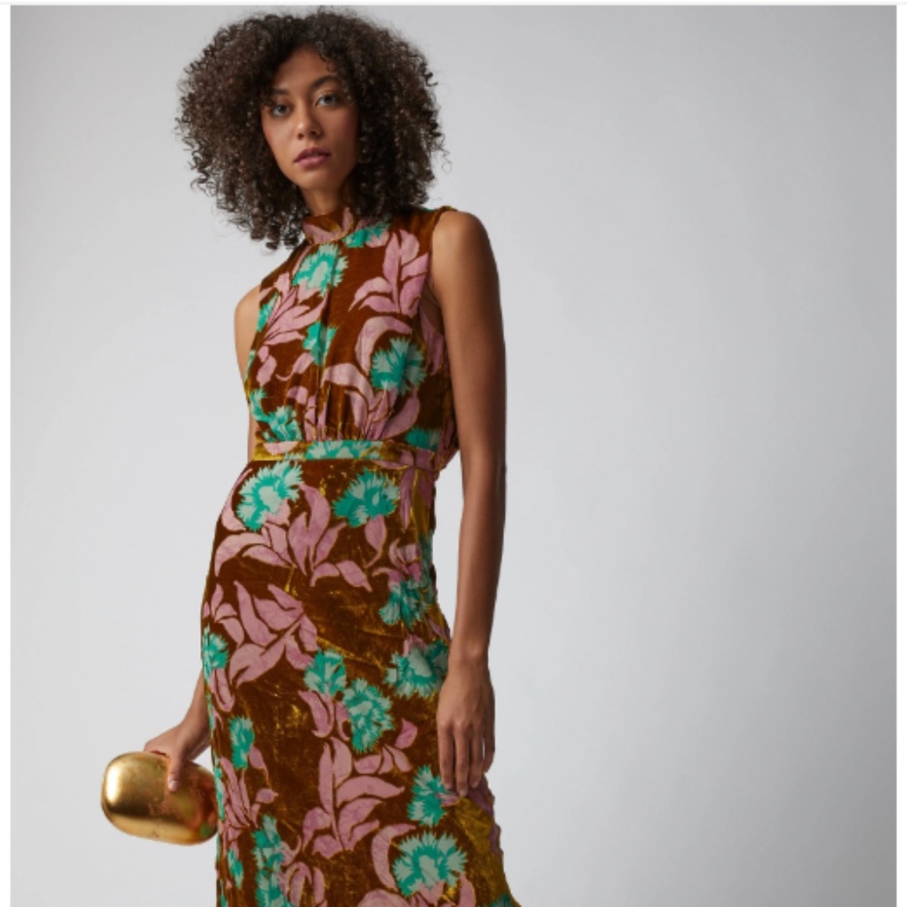 Velvet burnout Saloni gown